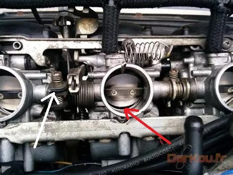synchrocarbus.jpg